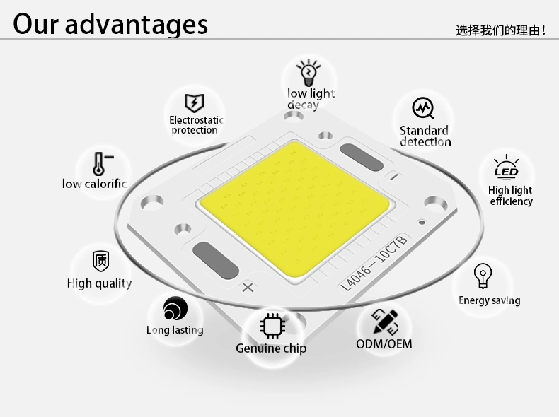 LED 20W 30W 40W 50W COB for Integrated Floodlights