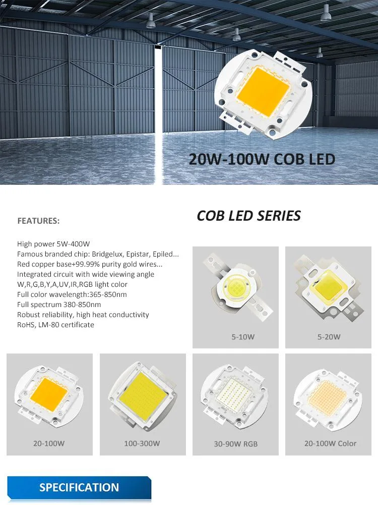 10W 20W 30W 40W 50W 60W 80W 100W IR COB LED 850nm